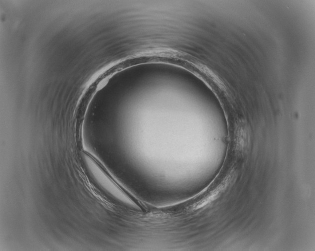 X0000085270830200703161427