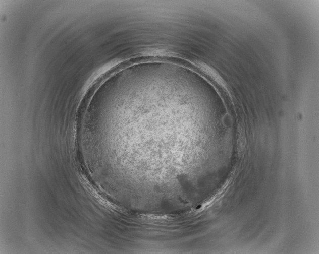 X0000085270831200703161427