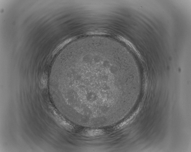 X0000085270833200703161427