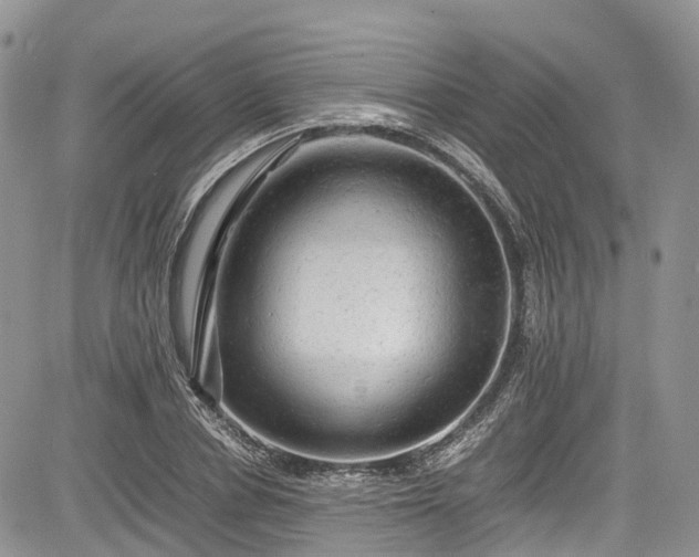 X0000085270834200703161427