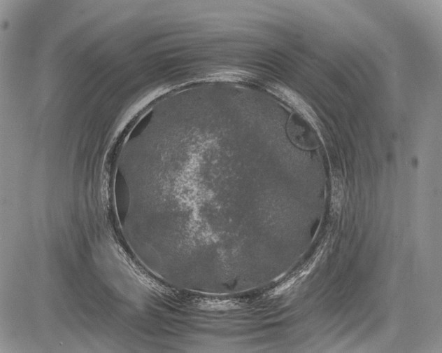 X0000085270835200703161427