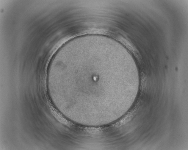 X0000085270836200703161427