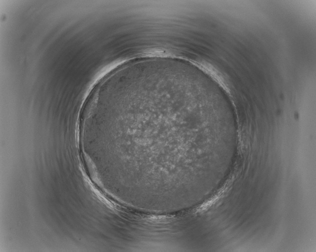 X0000085270839200703161427