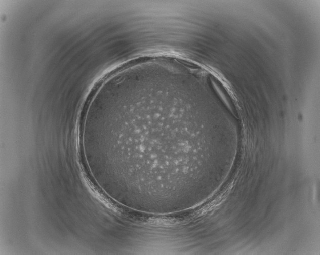 X0000085270840200703161427