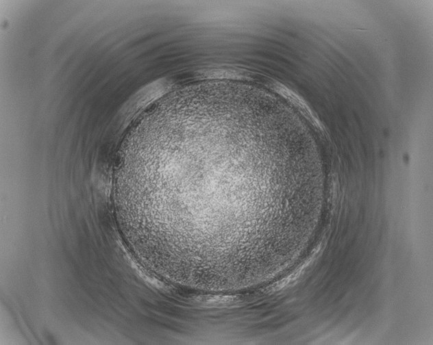 X0000085270841200703161428