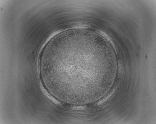 X0000085270843200703161428