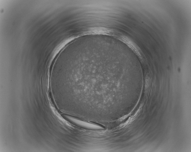 X0000085270844200703161428