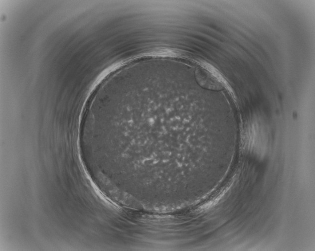 X0000085270845200703161428