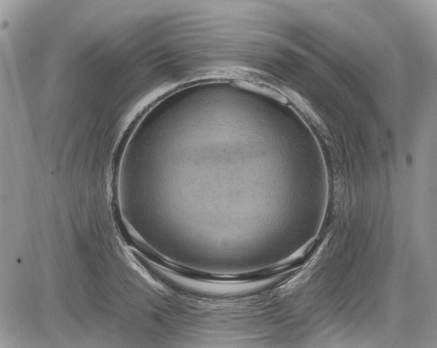 X0000085270846200703161428