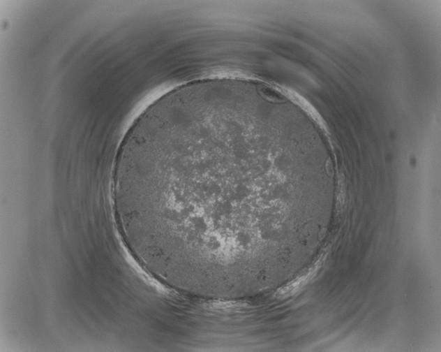 X0000085270847200703161428