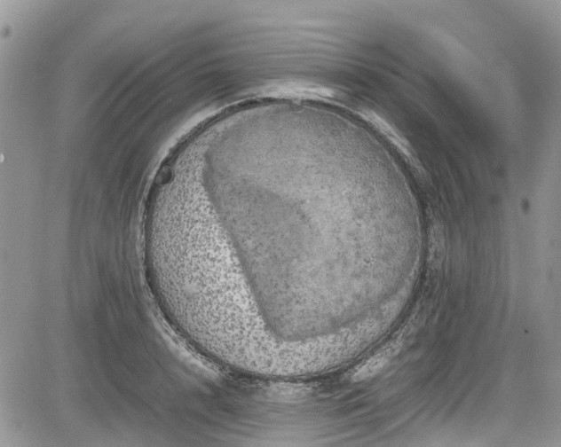 X0000085270848200703161428