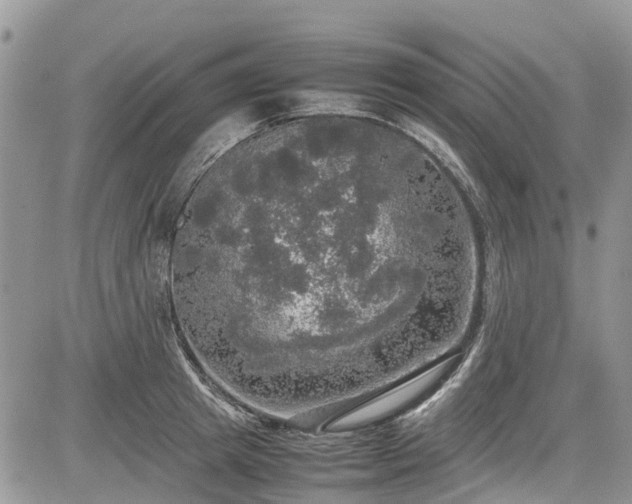 X0000085270849200703161428