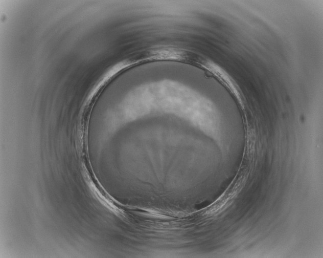 X0000085270851200703161428