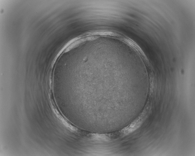 X0000085270852200703161428