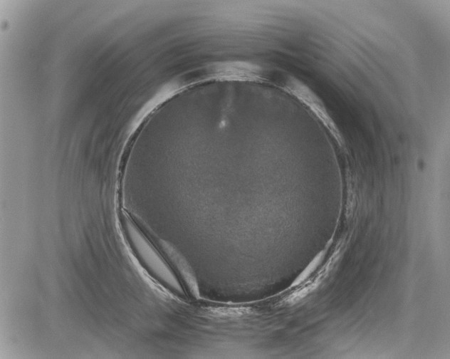 X0000085270853200703161428