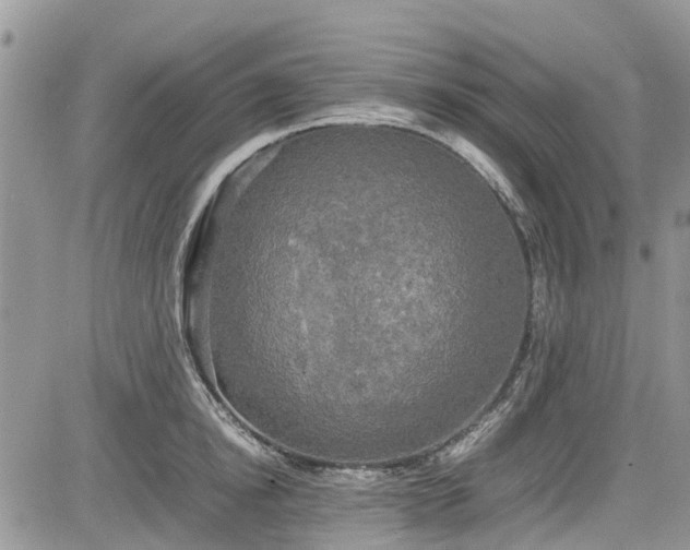 X0000085270854200703161428