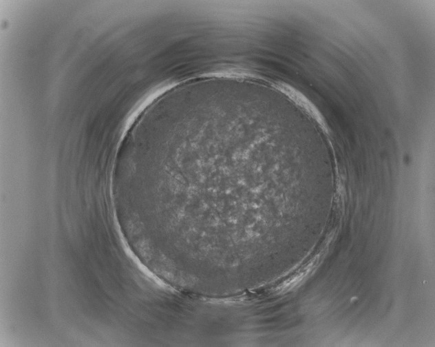 X0000085270855200703161428