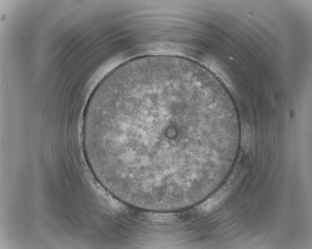 X0000085270856200703161428