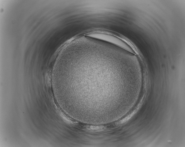 X0000085270857200703161428