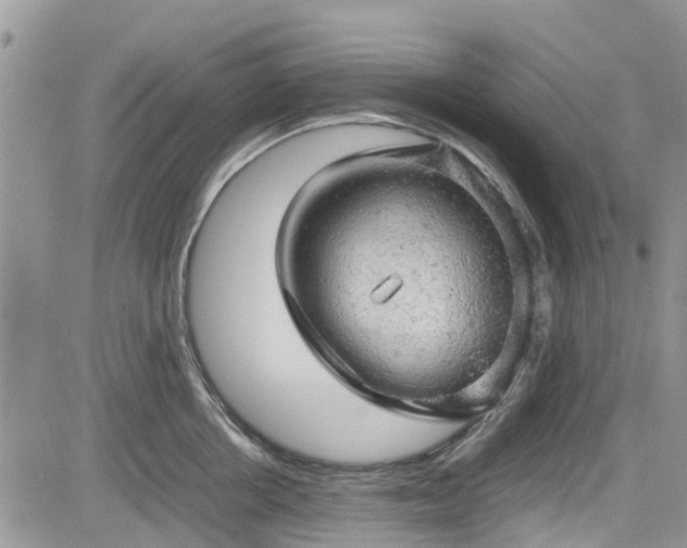 X0000085270858200703161428