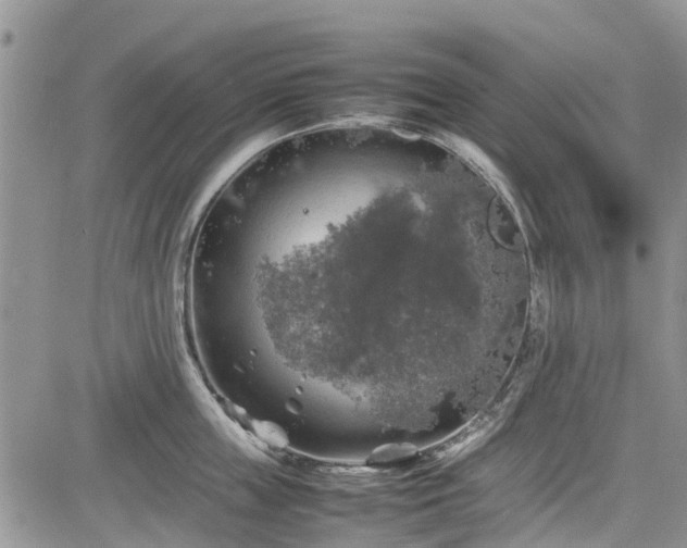 X0000085270859200703161428