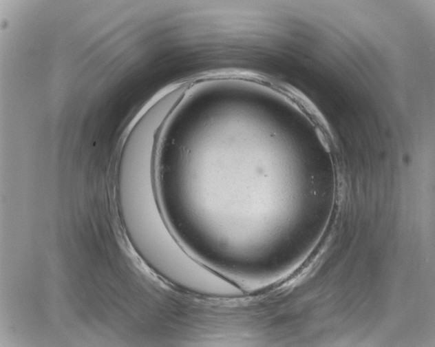 X0000085270860200703161428