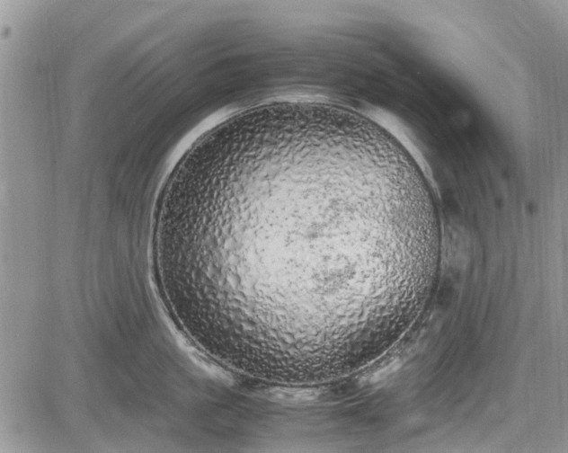 X0000085270861200703161428