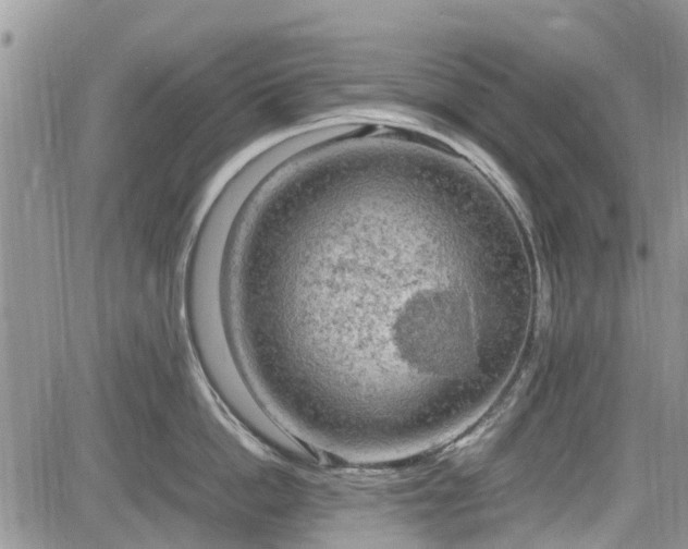 X0000085270862200703161428