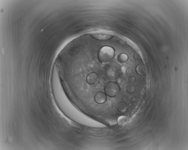 X0000085270863200703161428