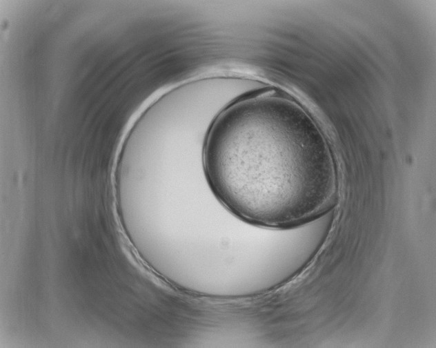 X0000085270864200703161428