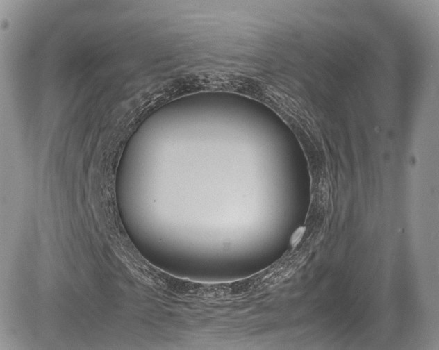 X0000085270865200703161427