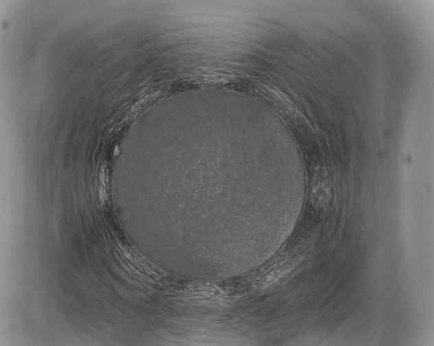 X0000085270866200703161427