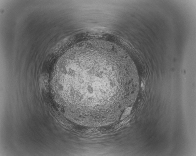 X0000085270867200703161427