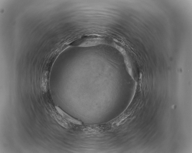 X0000085270868200703161427