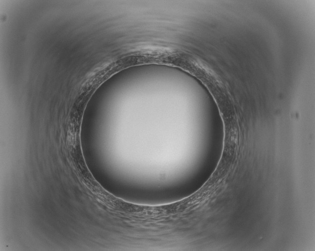 X0000085270869200703161427