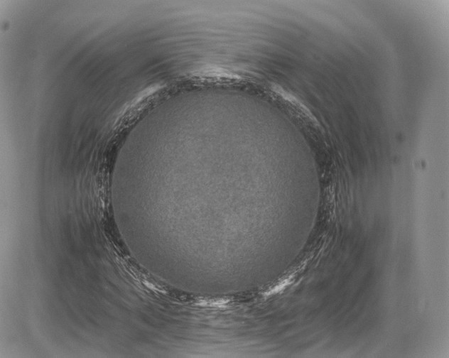 X0000085270870200703161427