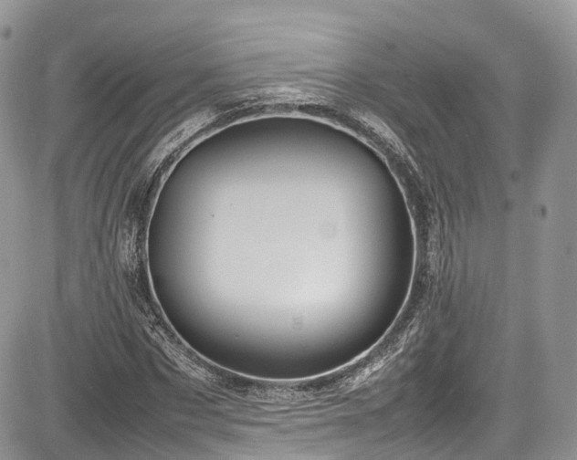 X0000085270873200703161427