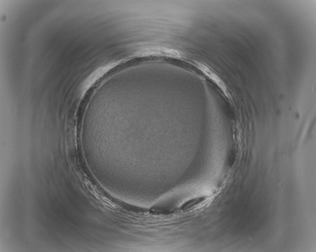 X0000085270877200703161427