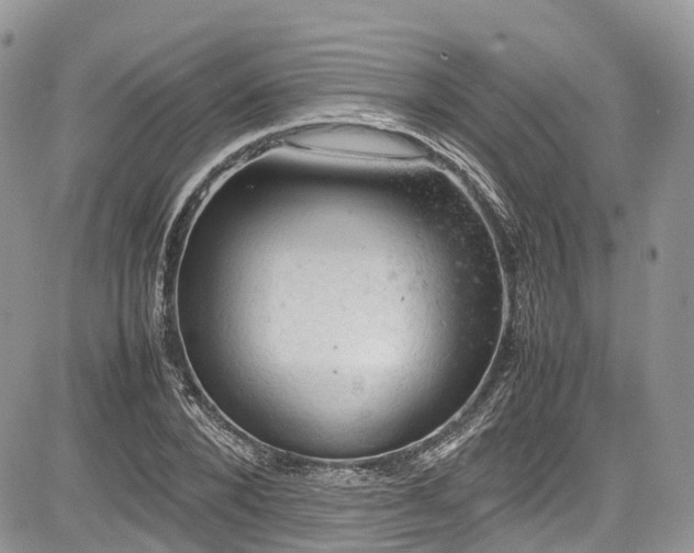 X0000085270880200703161427