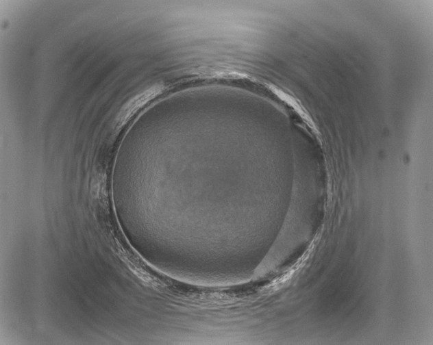 X0000085270881200703161427