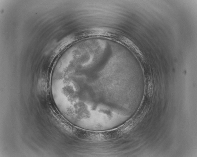 X0000085270882200703161427