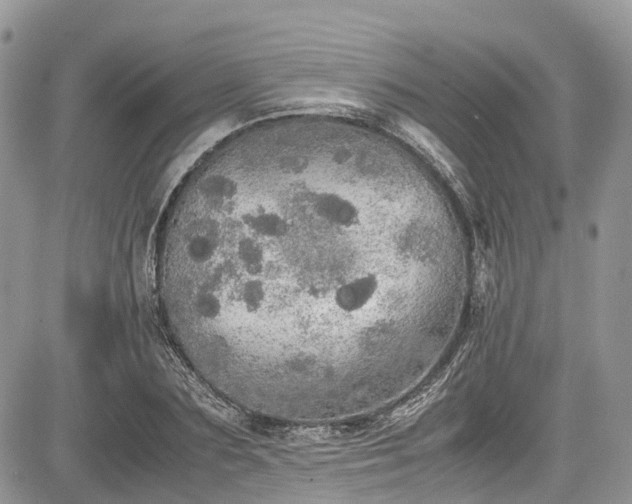 X0000085270883200703161427