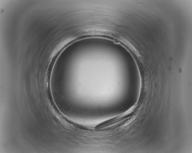 X0000085270885200703161427