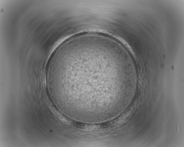 X0000085270887200703161427