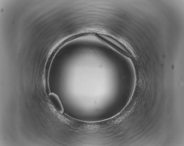 X0000085270888200703161427