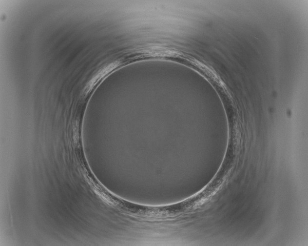 X0000085270889200703161427