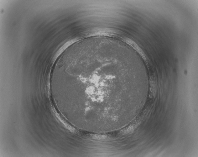 X0000085270890200703161427