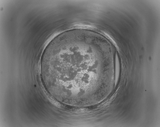 X0000085270891200703161427