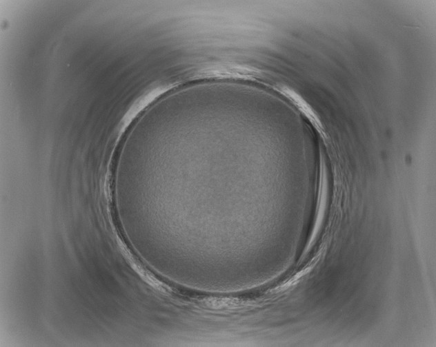 X0000085270893200703161427