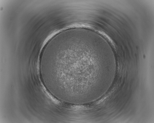 X0000085270894200703161427